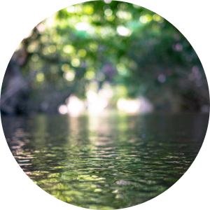 Exploring Nonviolence: Tools for Managing Conflict in Everyday Life